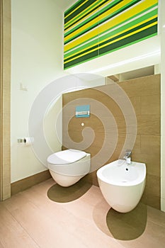 Modern bathroom with toilet and bidet