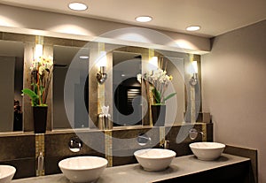 Modern bathroom in upscale hotel