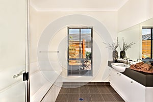 Modern bathroom with a water tub and bathing area opposite to th