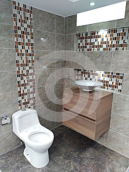 Modern bathroom with WC