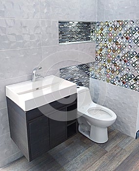 Modern bathroom with WC