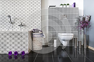 Modern bathroom with WC