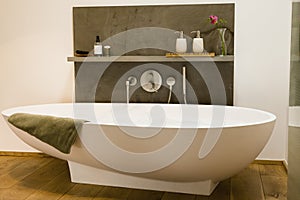 Modern Bathtub In Bathroom