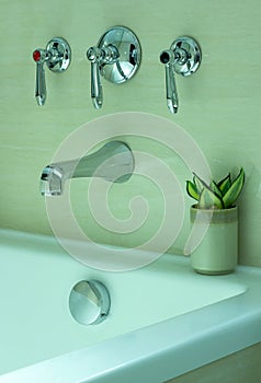 Modern Bathtub Faucet and Potted Plant Decorative