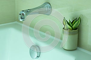 Modern Bathtub Faucet and Potted Plant Decorative