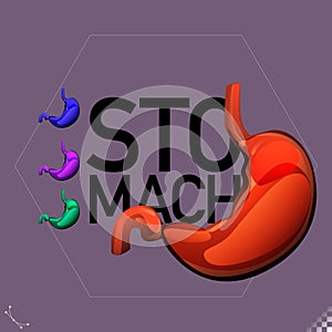 Modern beautiful stylized monotone human stomach organ symbols and icons - part of a set