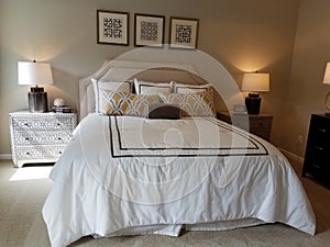 Modern Bed room with Queen size bed and decors