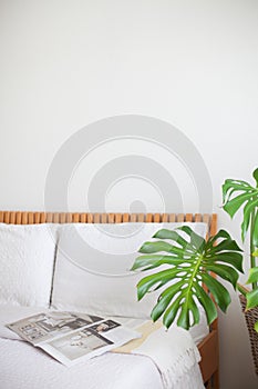 Modern bedroom with monstera plant