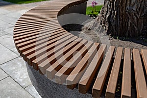 Modern bench in city park on sunny day. Semicircular bench around tree trunk. Place of rest