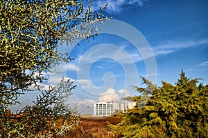 Modern big building, tree and greenery on foreground and blue sky on background. Hotel of block of flats is surrounded by green