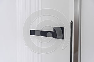 Modern black door handle on white wooden door in interior.