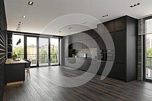 Modern black kitchen interior design