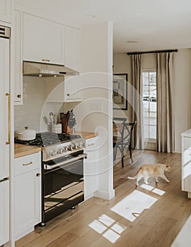 Modern black kitchen stovetop design