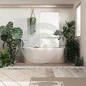 Modern bleached wooden bathroom close up in white and beige tones with bathtub and many houseplants. Biophilia concept. Urban