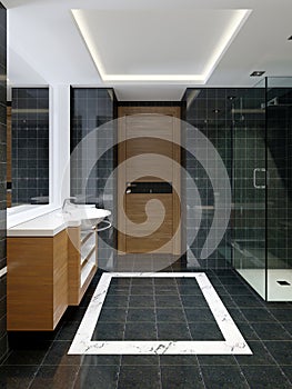 Modern bleack and white designer bathroom with black marble shower tiling