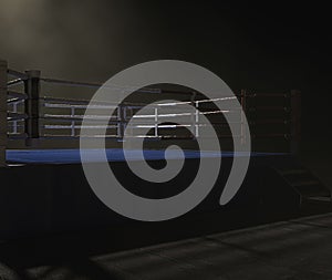 Modern Boxing Ring