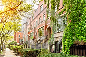 Modern brick houses in an affluent residential district with tree lined streets