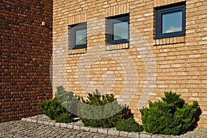 Modern brick wall with evergreen plants design