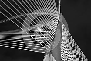 Modern Bridge Architecture - Jambatan Seri Wawasan
