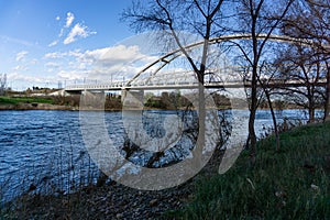 Modern bridge observed by leafless trees in the Ebro river