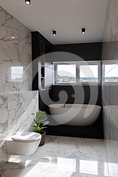 Modern bright bathroom with green plant and window