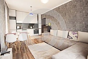 Modern bright and cozy living room interior design with sofa, dining table and kitchen. Grey and white studio apartment