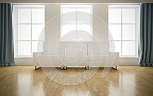 Modern bright interior with white sofa