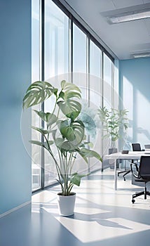 modern bright office with large panoramic windows and plants for environmental and psychological relaxation