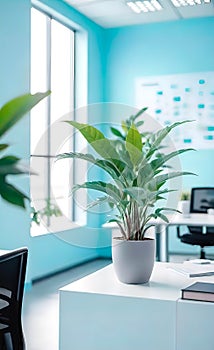 modern bright office with large panoramic windows and plants for environmental and psychological relaxation