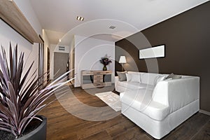 Modern brown interior design living room