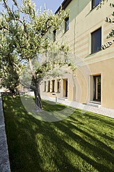 Modern building exterior garden