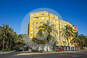 Modern Building and Palm Trees in Valencia