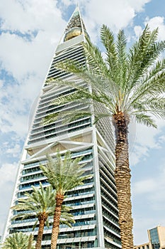Modern buildings in the Al Olaya downtownt district with palms in the foreground, Al Riyadh