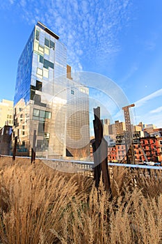 Modern buildings along the High Line