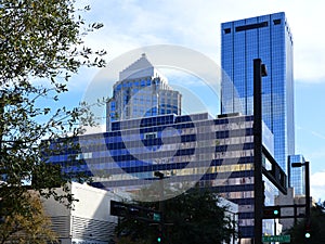 Modern Buildings in Downtown Tampa, Florida