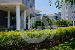 Modern buildings hedged with shrubs in sunny summer