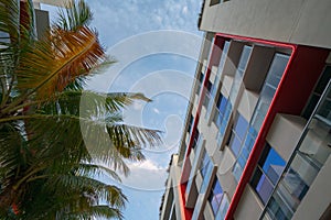 Modern buildings and palm trees Florida scene