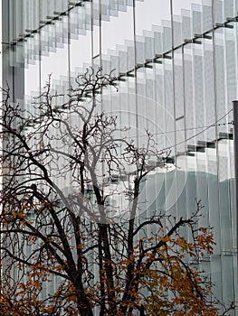 Modern buildings at Porta Nuova in Milan, Italy photo