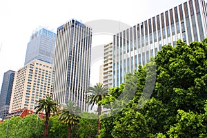 Modern buildings and trees