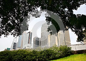 Modern buildings and trees