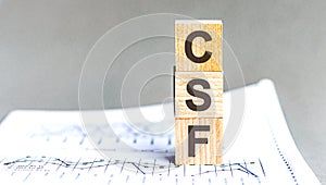 Modern business buzzword - csf - critical success factor. Word on wooden blocks on a white background. Close up