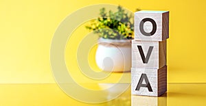 Modern business buzzword - OVA. Word on wooden blocks on a white background. Close up