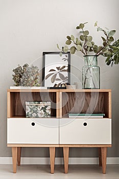 Modern cabinets decorated with plants in a living room interior