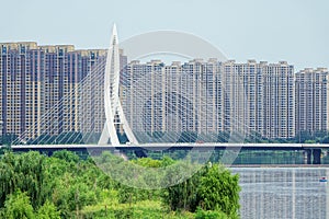 modern cable bridge photo