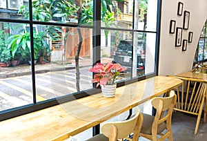 Modern cafeteria with cozy light, flowers, wooden chairs . Coffee shop interior design
