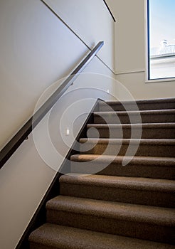 Modern carpeted staircase with wooden hand rail and night lighting