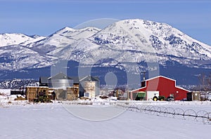 Modern Cattle Ranch Operation in Winter Mountains