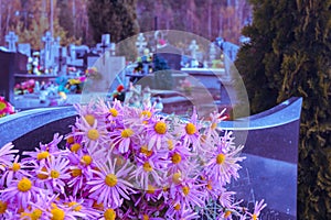 Modern cemetery with flowers