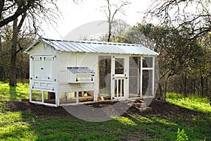 Modern chicken coop can be placed anywhere