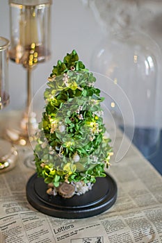 Modern christmas decoration table display. Cute little festive glas Cloche filled with green hydrangea flowers